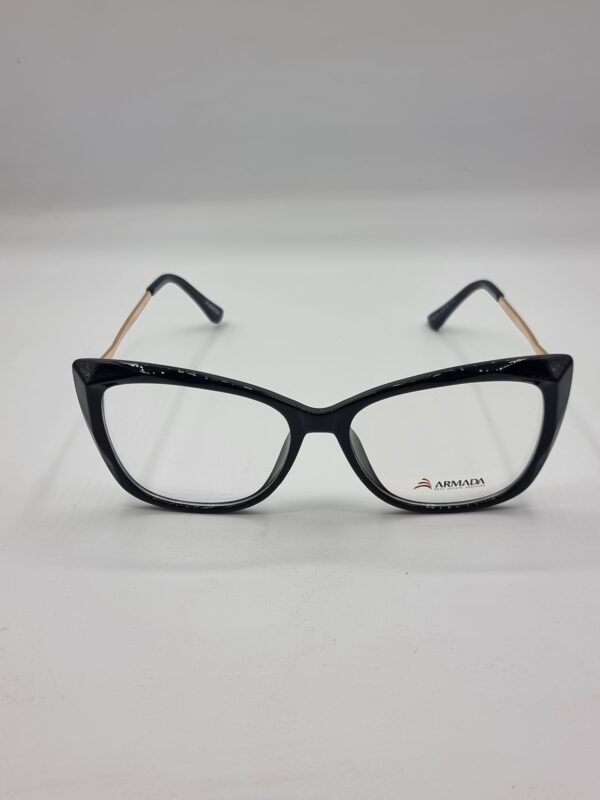 lunettes optiques
