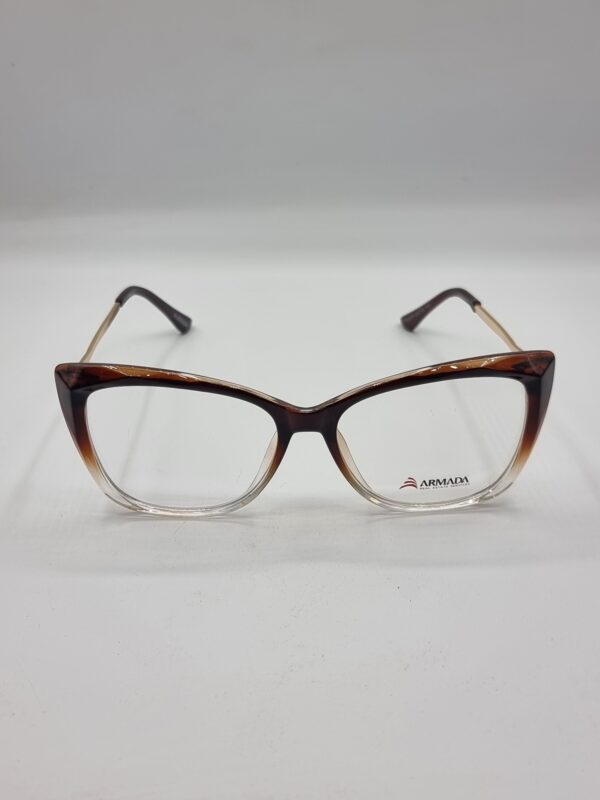 lunettes optiques