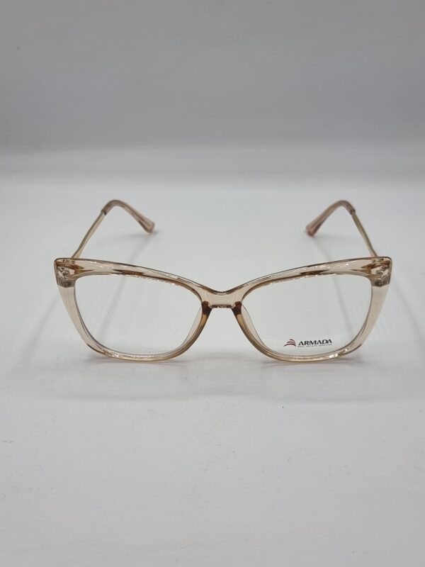 lunettes optiques