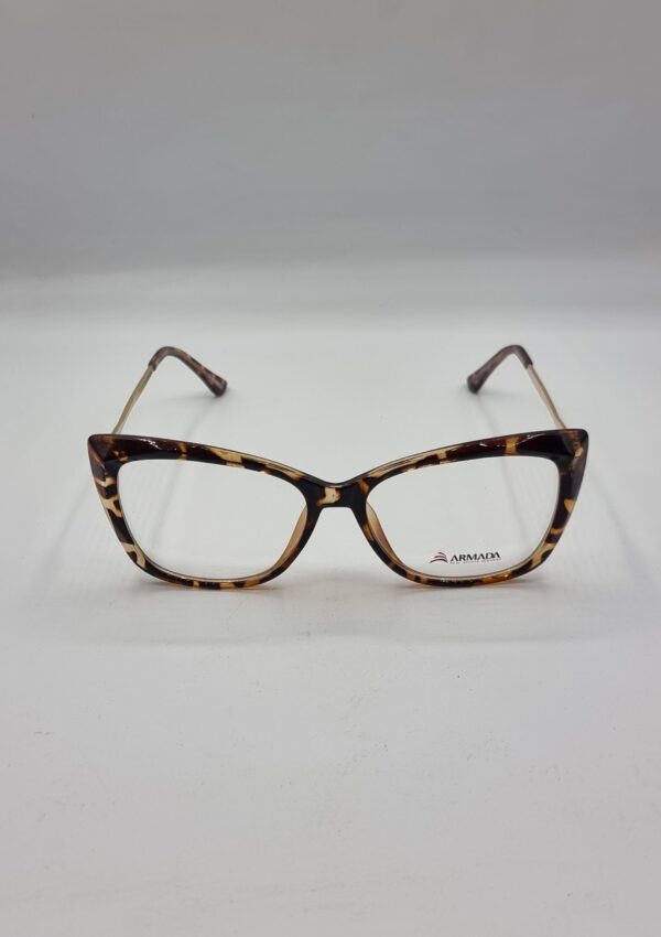 lunettes optiques