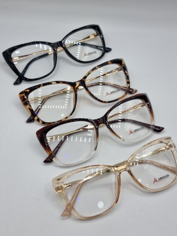 lunettes optiques