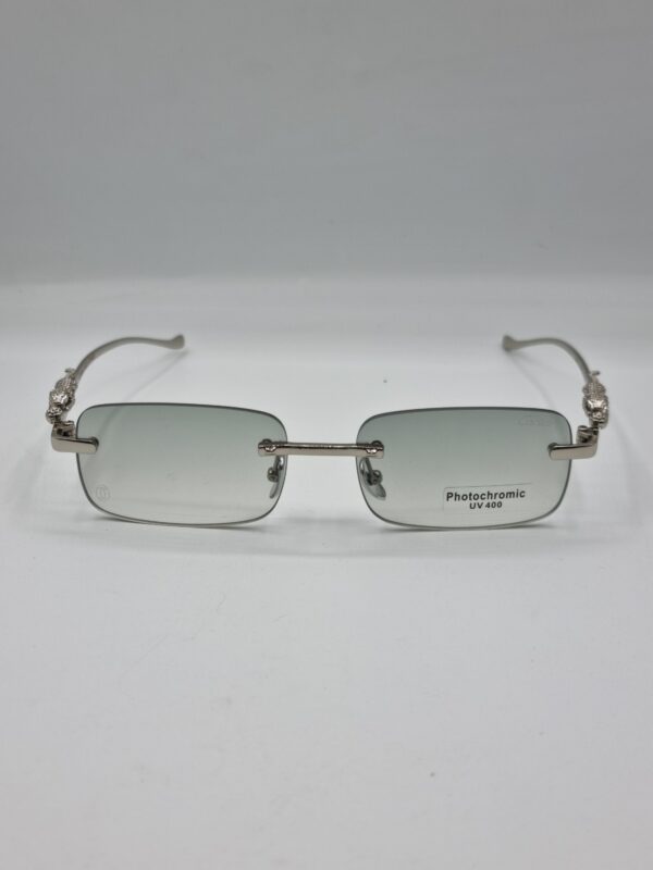 Glasses