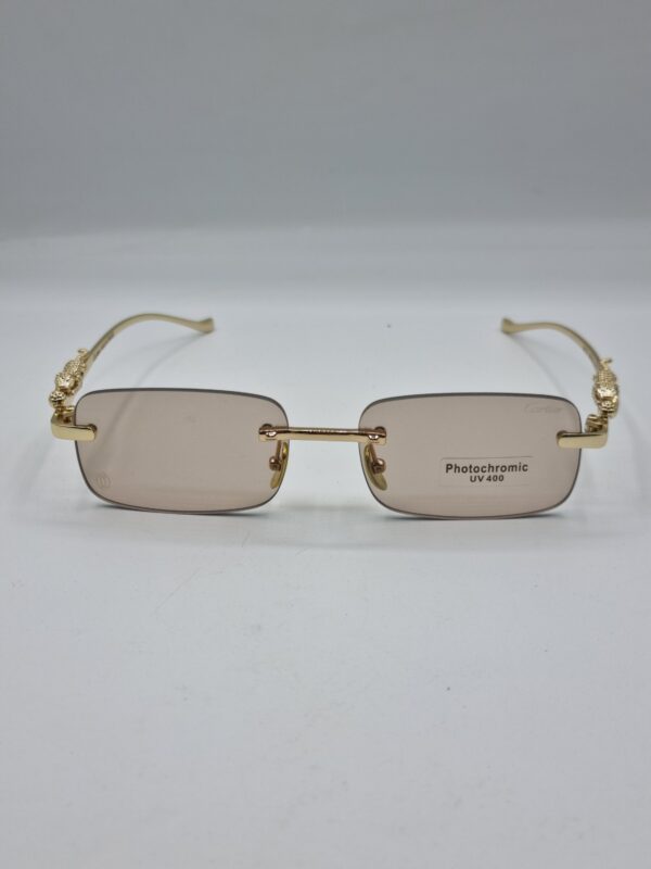 Glasses