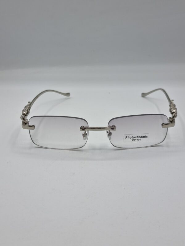 Glasses