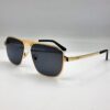Cartier Glasses