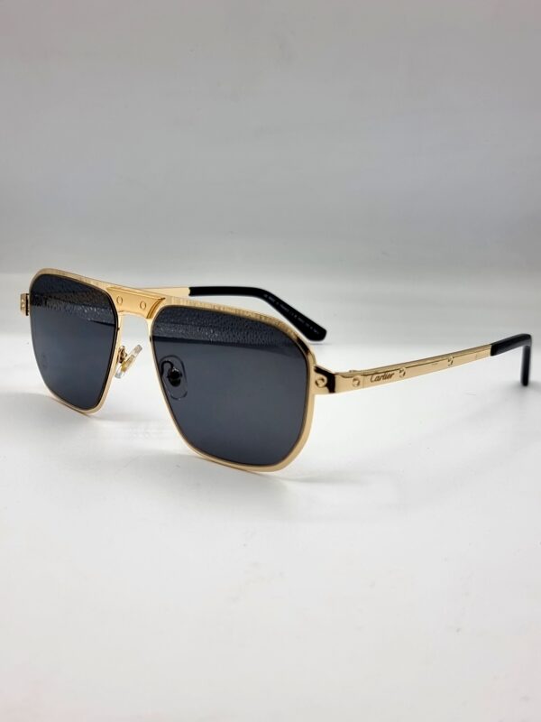 Cartier Glasses