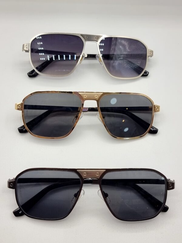 Cartier Glasses
